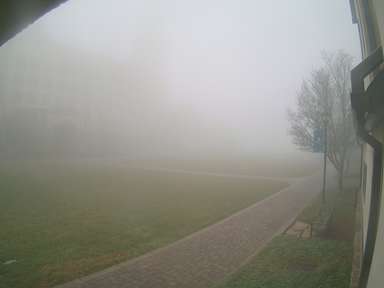 covenant college webcam